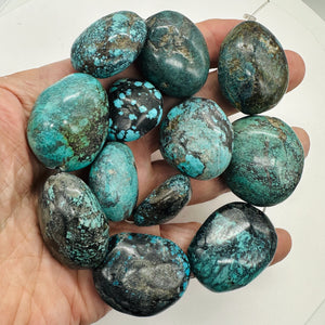 Turquoise Natural Focal Nugget Strand | 310g | 16" | Blue, Black | 12 Beads |