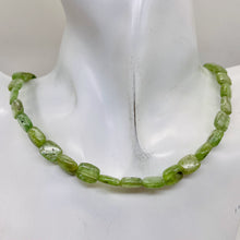 Load image into Gallery viewer, Silver Schiller Green Kyanite Bead Strand | 10x8mm | Green Silver | 41 Beads |
