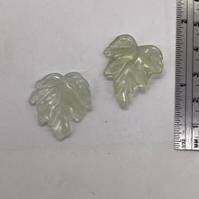 Load image into Gallery viewer, Serpentine New Jade Leaf Beads | 26x24x3 to 27x27x4mm|Clear Pale Green| 2 Beads|
