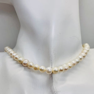 Round Fresh Water Wedding Pearls 16" Strand | 7mm | Glowing White | 56 Pearls |