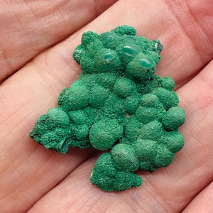 Malachite 7 Gram Natural Display Specimen | 27x25x6mm | Green | 1 Specimen |