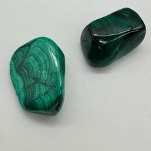 Load image into Gallery viewer, Malachite Polished Gemstone Nugget | 37x25 to 25x17mm|Green| 2 Display Specimen|
