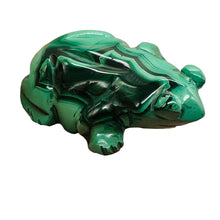 Load image into Gallery viewer, Malachite 53g Gemstone Carving Frog Figurine | 1 Specimen |
