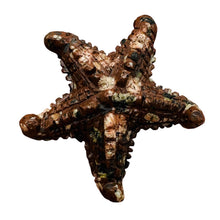 Load image into Gallery viewer, Hand Carved Mica Quartz Starfish Pendant Bead | 60x55x12mm | Red, White, Brown|
