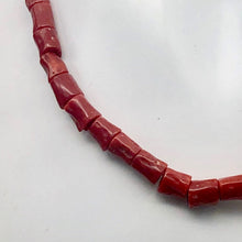 Load image into Gallery viewer, Natural AAA Red Coral Branch Bead Strand | 4x6mm | 44 Beads |
