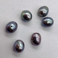 Load image into Gallery viewer, 3 Huge Icy Harvest Moon Freshwater Pearls 002262
