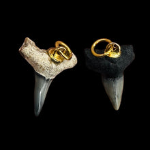 Load image into Gallery viewer, Shark Teeth Natural Fossilized Pendants | 1&quot; Long | Grey, White | 2 Pendants |
