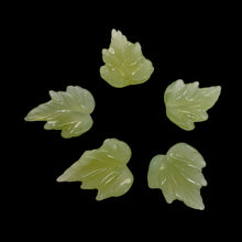 Load image into Gallery viewer, Carved Serpentine New Jade Leaf Bead Set | 26x21x4 to 28x22x4mm | 5 Beads |
