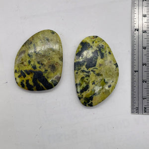 Turquoise Faustite Oval Beads | 41x31 to 37x7mm | Chartreuse, Black | 2 Beads |