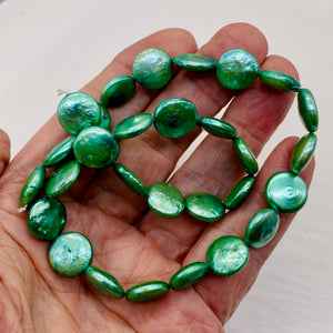 Minty Green 12 to 13mm Freshwater Coin Pearl Strand 109442