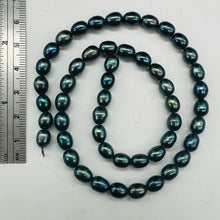 Load image into Gallery viewer, Fresh Water Perfect Beauties Pearl Strand | 8x6mm|Midnight Ocean Blue|50 Pearls|
