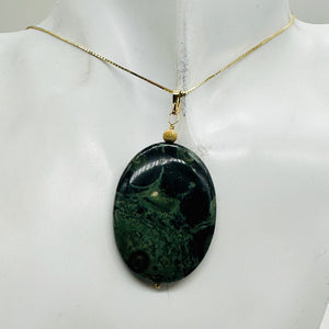 Exotic Kambaba Jasper Oval 14K Gold Filled Pendant | 2" Long | 1 Pendant |