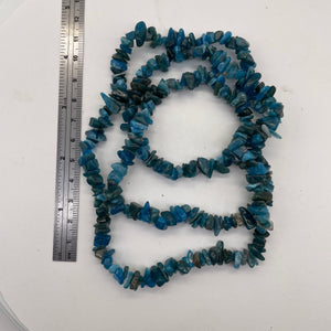Apatite Bead Strand | Chip | 11x8x5 to 7x5x4mm | Blue | 200 Beads |