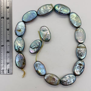 Platinum Green Oval Coin Pearl 8" Strand 9948HS