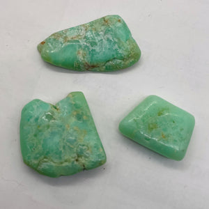 Chrysoprase Natural Nugget Beads 34g | 28x30x10mm, 35x31x19mm, 39x24x8mm| Green|