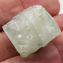 Load image into Gallery viewer, Apophyllite Collectors Crystal | 20g | 25x23x22mm | Green | 1 Display |Specimen|

