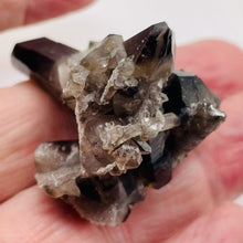 Load image into Gallery viewer, Smoky Quartz Crystal Cluster 29g Natural Display Specimen| 55x38x35mm| Smoky | 1
