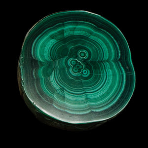 Malachite 37g Polished Round Stalactite Slice | 1 Specimen | | 46x41x7mm | Green