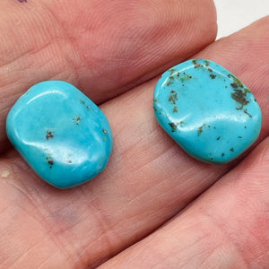 Natural Turquoise Flat, Smooth Nuggety Bead Strand 109352