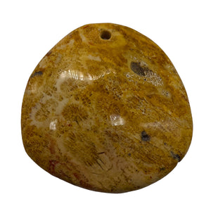 Fossilized Coral Round Pendant Bead | 41x40x7mm | Beige Orange |