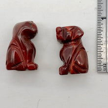 Load image into Gallery viewer, Faithful 2 Brecciated Jasper Hand Carved Dog Beads | 22x15x15mm | Red
