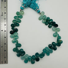 Load image into Gallery viewer, Grandidierite AAA Graduated Briolette Strand| 8&quot; Long| Aqua, Blue| 50 to 60 Bds|
