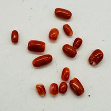 Load image into Gallery viewer, Coral Natural Oval Beads | Salmon, Red | 14 Beads | 5x3 to 7x4mm |

