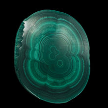 Load image into Gallery viewer, Malachite 36g Polished Round Stalactite Slice | 43x3=x8mm | Green | 1 Specimen |
