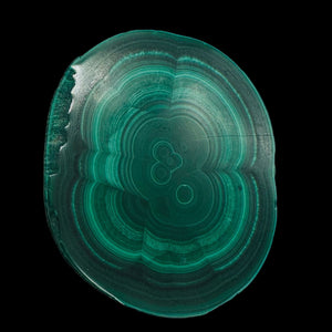 Malachite 36g Polished Round Stalactite Slice | 43x3=x8mm | Green | 1 Specimen |