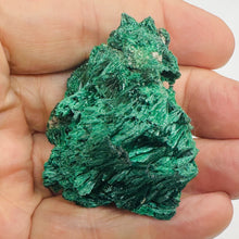 Load image into Gallery viewer, Natural Crystalline Malachite Freeform Display Specimen 78g Africa Green
