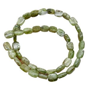 Silver Schiller Green Kyanite Bead Strand | 10x8mm | Green Silver | 41 Beads |