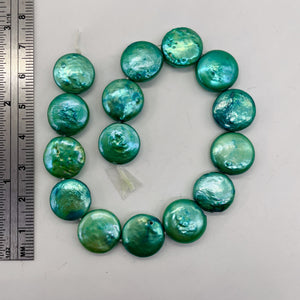 Green Wave 12 to 13mm Freshwater Coin Pearl 8 inch Strand 9442HS