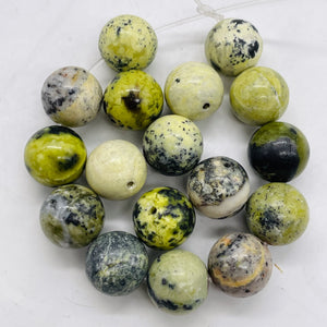 Yellow Chartreuse Turquoise Faustite Beads | 14mm | 2 Beads |