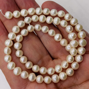 Premium 6.5 x 7mm Cream White FW Pearl Strand 101304