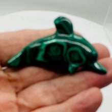 Load image into Gallery viewer, Dolphin 57g Gemstone Carved Malachite Dolphin | 1 Specimen| | 71x39x20mm | Green
