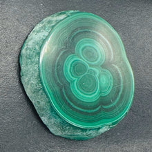 Load image into Gallery viewer, Malachite 36g Polished Round Stalactite Slice | 43x3=x8mm | Green | 1 Specimen |

