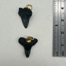 Load image into Gallery viewer, Shark Teeth Natural Pendants | 1&quot; Long | Grey, White | 2 Pendants |

