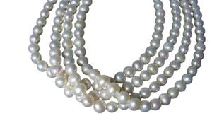 Premium 6.5 x 7mm Cream White FW Pearl Strand 101304