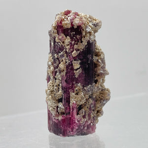 Rubellite Crystal Natural 31g Display Specimen | 44x22x20mm | Dark Pink |