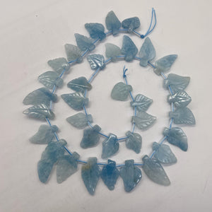 Natural Aquamarine Leaf Bead Strand | 145cts | 22x10x5 - 16x10x4mm | 35 Beads |