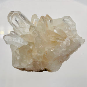 Clear Quartz Crystal Cluster Natural Display Specimen | 34g | 42x32x22mm | 1 |