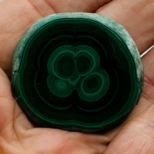 Load image into Gallery viewer, Malachite 36g Polished Round Stalactite Slice | 43x3=x8mm | Green | 1 Specimen |
