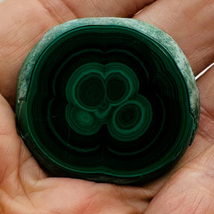 Malachite 36g Polished Round Stalactite Slice | 43x3=x8mm | Green | 1 Specimen |