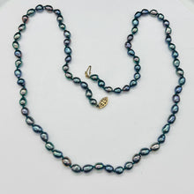 Load image into Gallery viewer, Fab Blue Peacock Freshwater Pearl &amp; 14Kgf 26 inches Strand/String Necklace 9811
