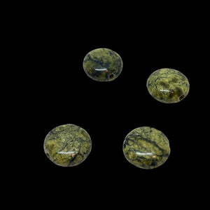 Rare 4 Reptile Russian Jasper Coin Beads 7579