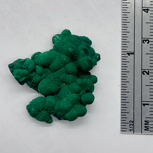 Malachite 7 Gram Natural Display Specimen | 27x25x6mm | Green | 1 Specimen |