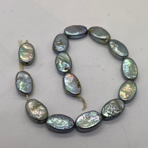 Platinum Green Oval Coin Pearl 8" Strand 9948HS