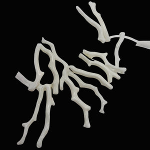 Coral Branch Beads | 37x3 to 30x2mm | White | 14 Beads |