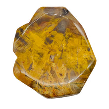 Load image into Gallery viewer, Fossilized Wood Irregular Flat Briolette | 52x43x7mm| Tan/Brown | 1 Pendant Bead
