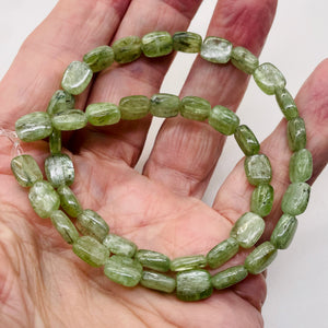 Silver Schiller Green Kyanite Bead Strand | 10x8mm | Green Silver | 41 Beads |